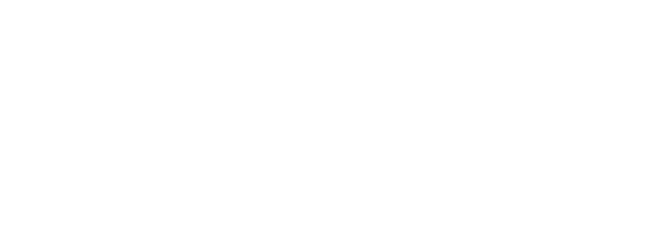 Finnit_logo_white